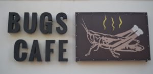 Bugs Cafe