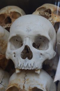 The Killing Fields